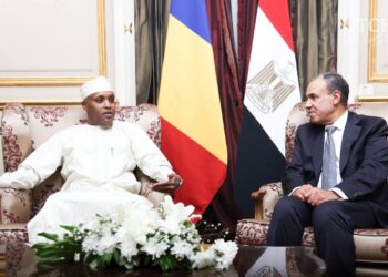 Tchad–Égypte : un engagement renouvelé pour une coopération renforcée
