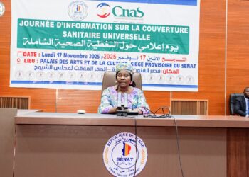 Tchad : Le Sénat en ordre de bataille pour la Couverture Sanitaire Universelle