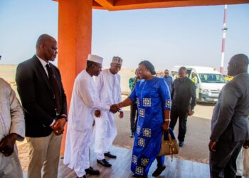 Tchad : Une délégation conduite par la Ministre du Pétrole accueillie à Niamey.