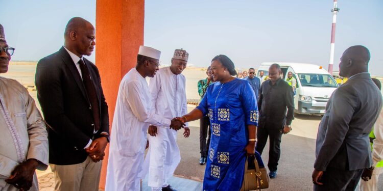 Tchad : Une délégation conduite par la Ministre du Pétrole accueillie à Niamey.