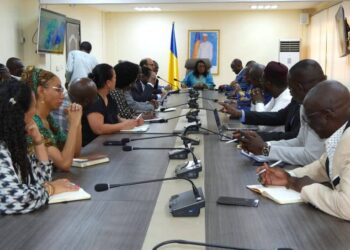 ​Tchad : La Banque mondiale et le ministère de la Santé évaluent les projets et définissent les priorités