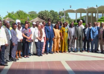 Tchad : La Couverture Santé Universelle au cœur d’un atelier sur l’achat stratégique des soins