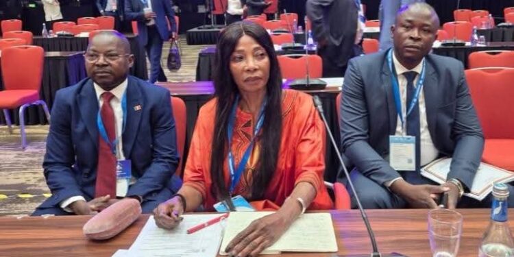 Le Tchad participe à la 132e session du Conseil Permanent de la Francophonie à Kigali.