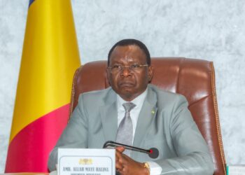 ​Tchad : La diplomatie tchadienne à la loupe du Premier ministre