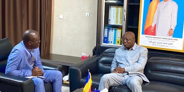 ​Tchad : La BAD fait le point sur les projets Eau et Assainissement