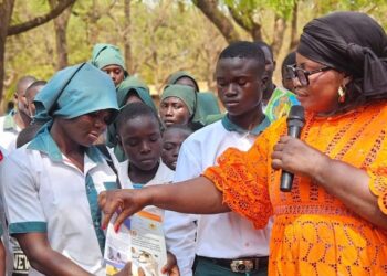 Mayo-Kebbi Ouest : Les élèves mobilisés pour dire non aux violences en milieu scolaire