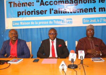 Tchad : Le Ministère de la Communication mise sur les médias pour renforcer la culture de l’allaitement maternel