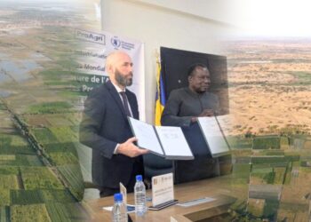 Tchad : Quand le PAM et le gouvernement font front commun contre la faim et la dégradation des terres