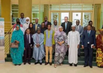 Tchad : Le MEPDD mobilise les partenaires pour la valorisation de la dépression de Bodelé