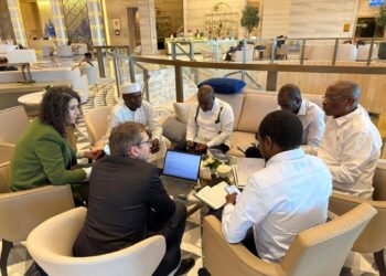 Tchad : La délégation du ministère de la Santé affine les derniers détails avant la table ronde d’Abu Dhabi