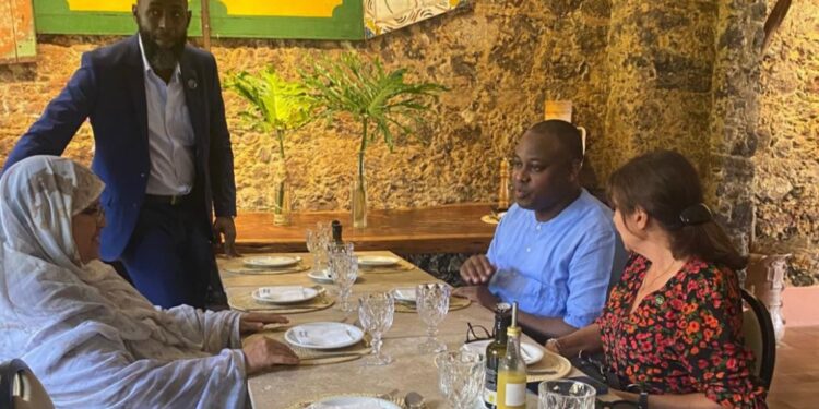 Vers l’intégration de N’Djaména dans les réseaux C40 et GCoM