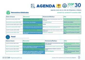 Tchad : N’Djamena se prépare à briller à la COP30 en mettant la résilience urbaine et l’adaptation climatique au cœur de sa stratégie