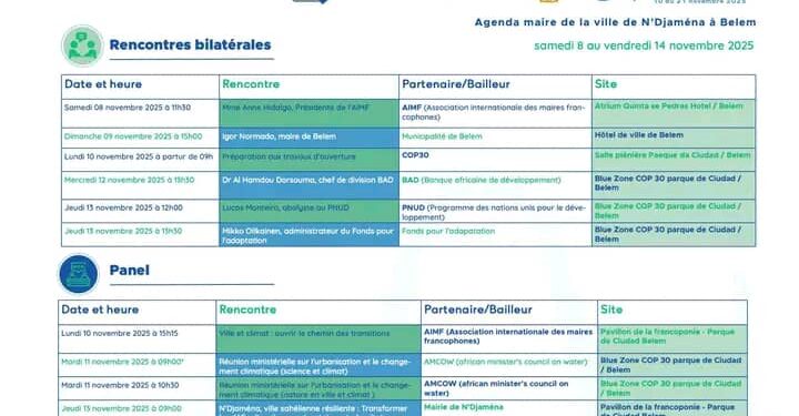 Tchad : N’Djamena se prépare à briller à la COP30 en mettant la résilience urbaine et l’adaptation climatique au cœur de sa stratégie