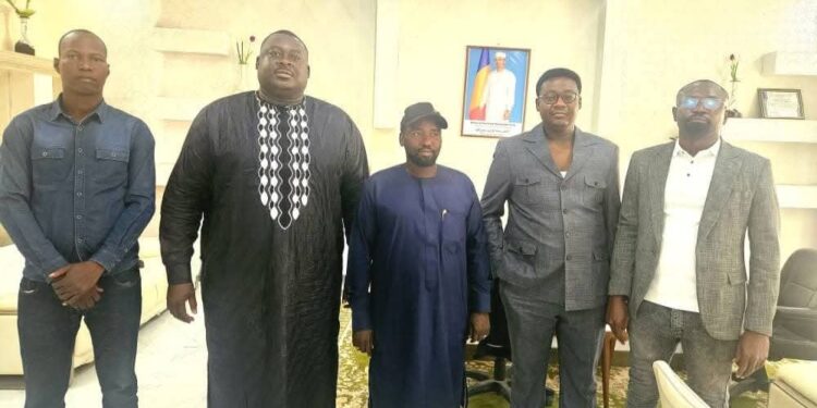 Tchad : La Cour des Comptes se penche sur les centrales solaires de l&rsquo;ADERME en provinces