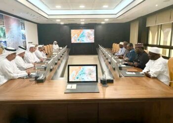 Abu Dhabi : La coopération N&rsquo;Djamena-Al Ain franchit un nouveau cap