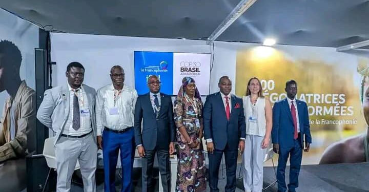 N’Djamena affirme ses ambitions à la COP30