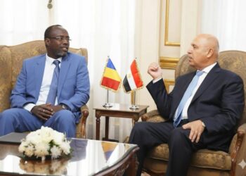 Le Ministre Tchadien des infrastructures reçu par le vice-premier ministre égyptien chargé des infrastructures