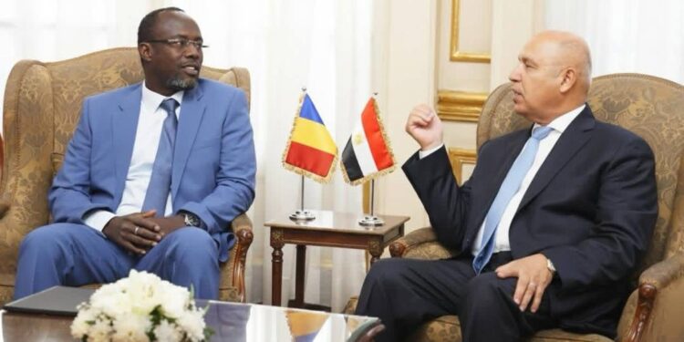 Le Ministre Tchadien des infrastructures reçu par le vice-premier ministre égyptien chargé des infrastructures