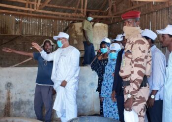 Tchad : Le Ministre Maïdé Hamit Lony encourage les jeunes entrepreneurs tchadiens