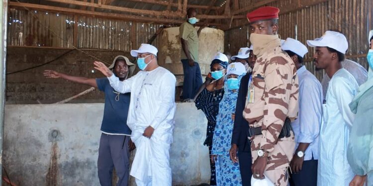 Tchad : Le Ministre Maïdé Hamit Lony encourage les jeunes entrepreneurs tchadiens