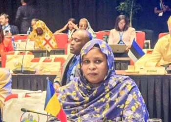 Le Tchad représenté à Kigali lors de la 46ème conférence ministérielle de la Francophonie.