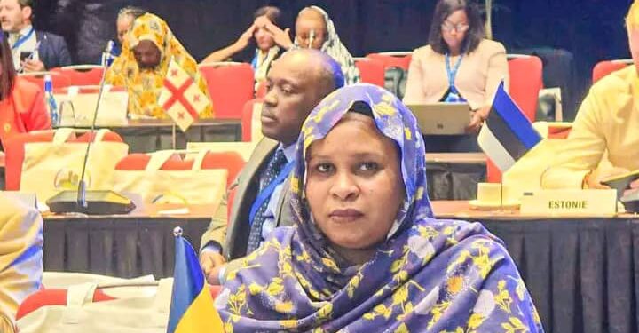 Le Tchad représenté à Kigali lors de la 46ème conférence ministérielle de la Francophonie.