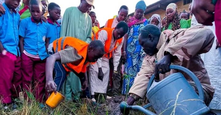 Moundou : Reboisement massif au collège La Paix, les élèves s&rsquo;engagent pour un avenir durable