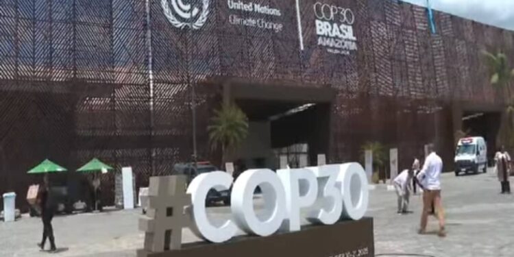 Tchad : Les enjeux de la COP 30 face à la crise climatique