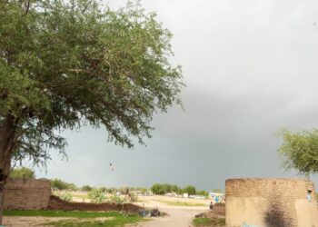 Sila : Trois coupeurs de route arrêtés après le meurtre d&rsquo;un cambiste.