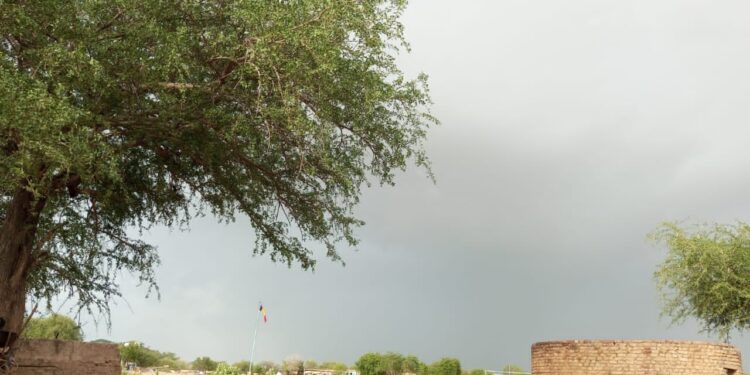 Sila : Trois coupeurs de route arrêtés après le meurtre d&rsquo;un cambiste.