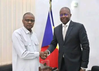 Tchad : Le gouvernement et la BAD affûtent leur partenariat pour accélérer le développement durable