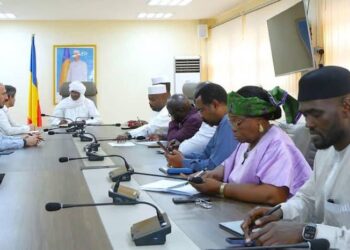 Tchad : Le ministre de la Santé explore un partenariat avec l’ONG Emergency pour renforcer la prise en charge des maladies cardiaques