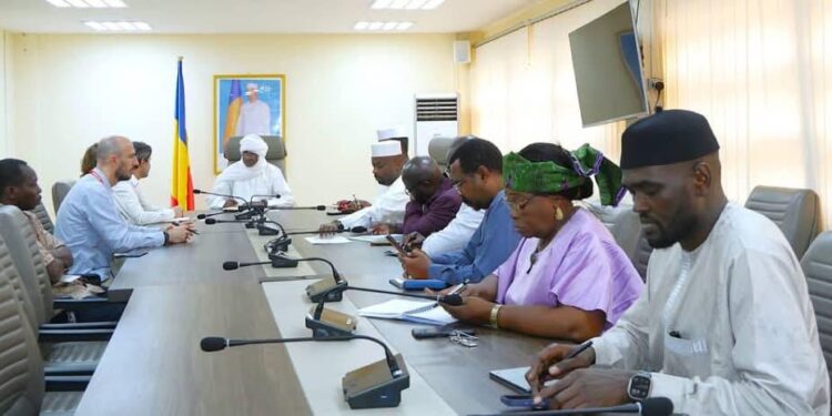 Tchad : Le ministre de la Santé explore un partenariat avec l’ONG Emergency pour renforcer la prise en charge des maladies cardiaques