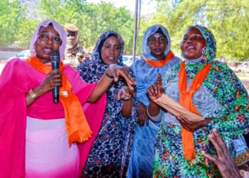 Guéra : La députée Amina Tidjani Yaya rencontre les organisations féminines du Guéra.