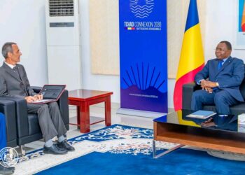 Tchad : Le Premier ministre reçoit la délégation du Comité international de la Croix-Rouge