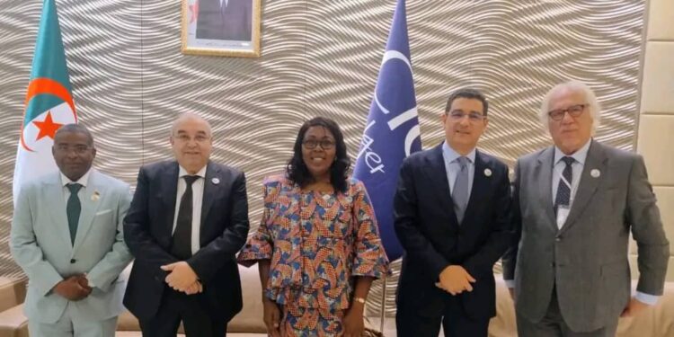 Le Tchad représenté à Alger lors d&rsquo;une assise continentale sur la production locale de médicaments