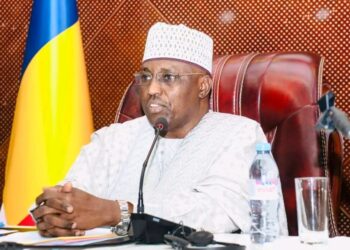 PND Tchad : L&rsquo;Assemblée nationale soutient le Maréchal et sa vision ambitieuse