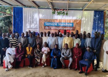 Tchad : Le RJDLT annonce la 9e édition de la Semaine Mondiale de l&rsquo;entrepreneuriat du 22 au 27 décembre prochain.