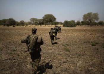 NGO accused of mismanagingChad’s oldest national park