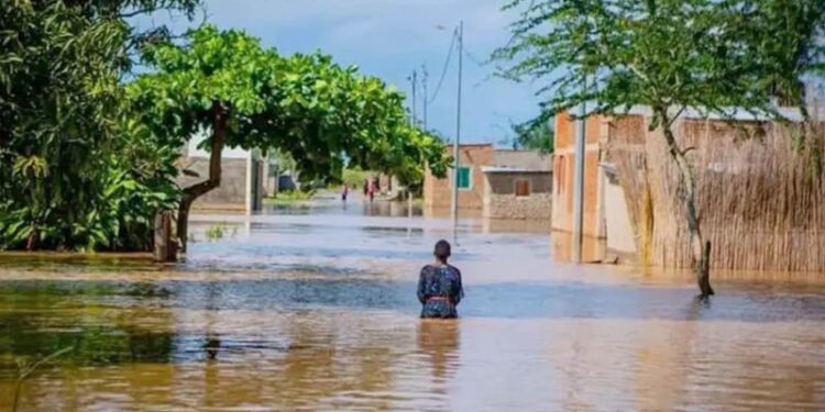 Burundi : Deux nouveaux décès tragiques sur la rivière Ruzizi illustrent le chaos migratoire entre Bujumbura et la RDC