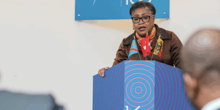 RDC : Entre gouvernance et traçabilité, le gouvernement dévoile sa vision économique à Genève