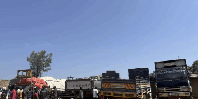 RDC : L’effondrement du pont Mbogu paralyse l’Ituri et menace l’approvisionnement de milliers de ménages