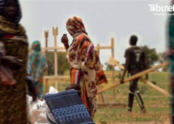 Moyen-Chari : des jeunes de 13 ans vendent leur corps dans les camps de réfugiés