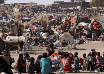 Soudan : El Fasher, symbole d’un génocide silencieux sous les yeux du monde