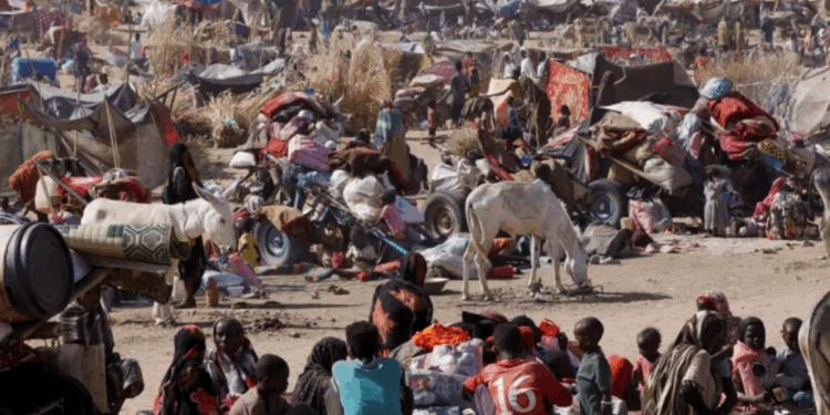 Soudan : El Fasher, symbole d’un génocide silencieux sous les yeux du monde