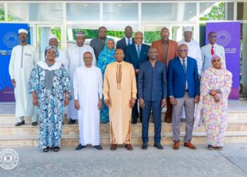 Tchad : Installation du Cadre de concertation et de suivi de la mise en œuvre du PND « Tchad Connexion 2030 ».