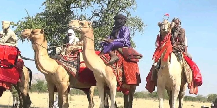 Mongo : Lancement du Festival des Cultures nomades, initiative de l&rsquo;ONG Guera Touristique