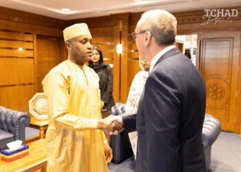 Tchad : Rencontre entre le Chef de la diplomatie et l&rsquo;ambassadeur de France