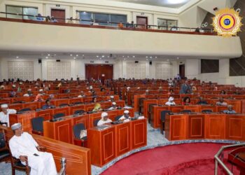 Tchad : Deux projets de loi adoptés à l’unanimité par les députés