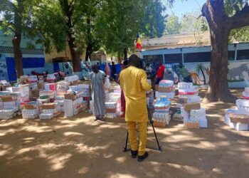Tchad : Le Ministère de la Femme distribue des kits alimentaires aux orphelinats pour les fêtes de fin d&rsquo;année